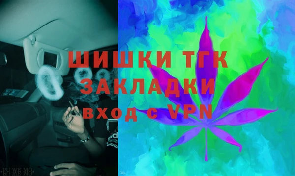 прущие грибы Балахна