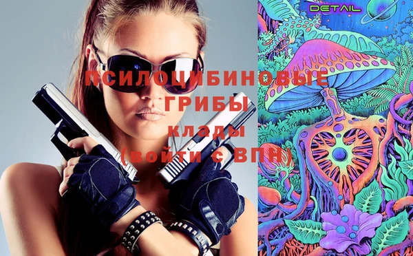 PSILOCYBIN Балабаново