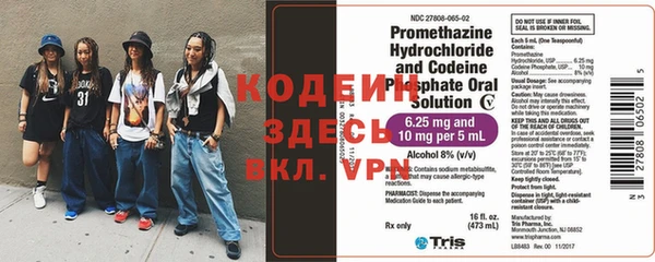 прущие грибы Балахна